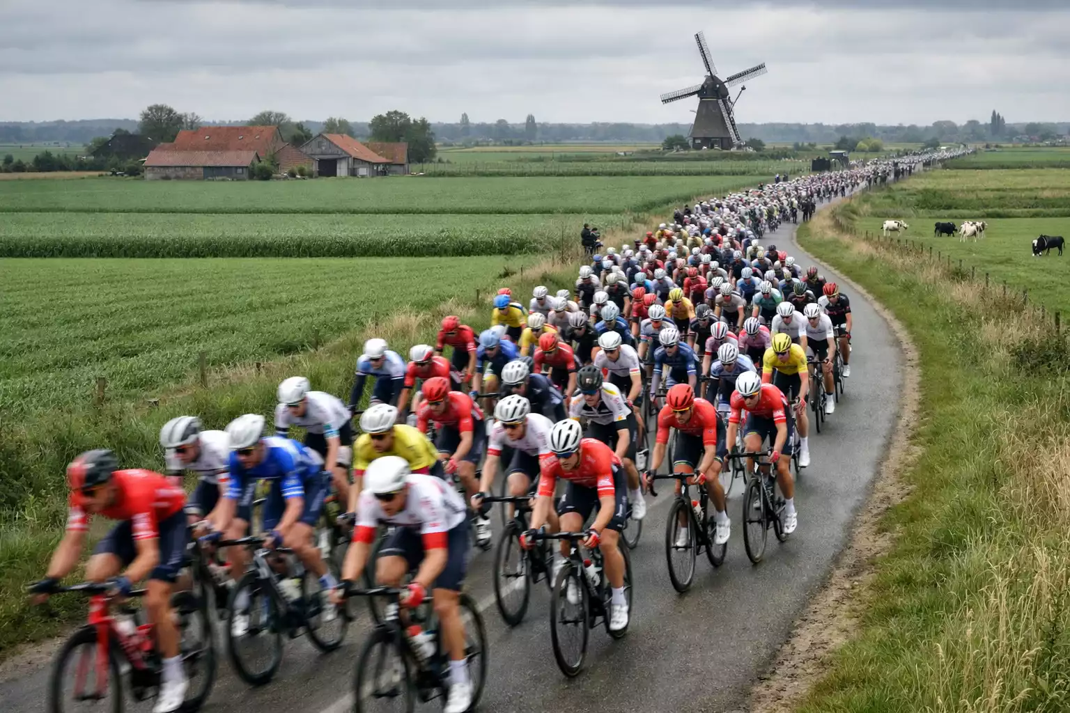 Wielrenpeloton tijdens voorjaarsklassieker